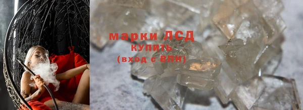 стаф Алексин