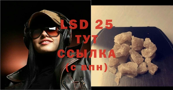 стаф Алексин
