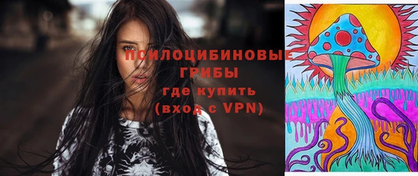 индика Алексеевка